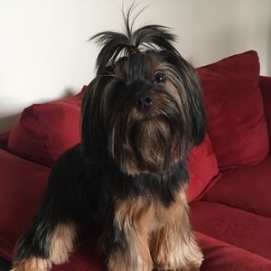 Meet your Posher, Heather